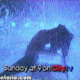 vlcsnap-2012-03-01-21h08m17s130